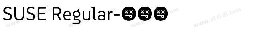 SUSE Regular字体转换